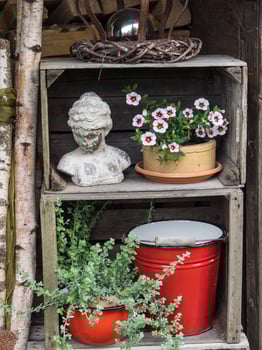 summer time in a german garden photo