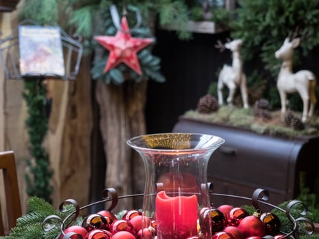 winter evening in garden photo