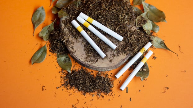 View of tobbacco heap and cigarette use photo