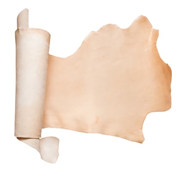 rolled natural vegetable-tanned cow leather photo