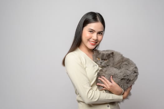 A young woman is holding lovely cat , playing with cat in studio on white background photo