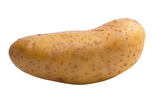 Fresh potatoes isolated on white background. photo