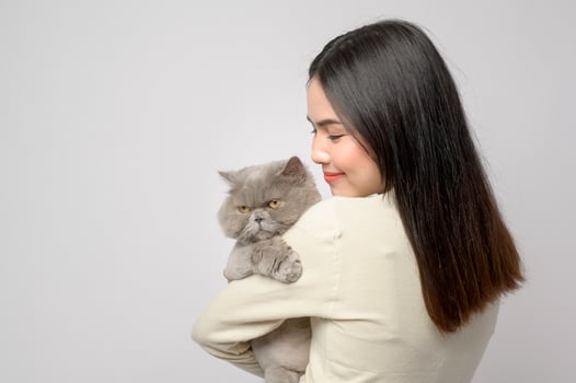 A young woman is holding lovely cat , playing with cat in studio on white background photo