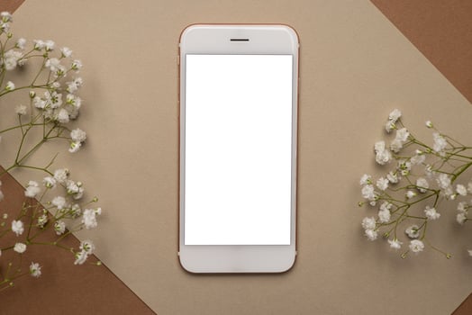 Mobile phone with white screen and dry flower branch and stone on a light brown background. Trend, minimal concept with copyspace photo