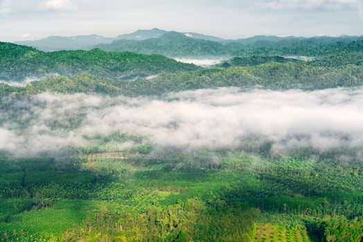 sea of mist landscape at Thailand photo