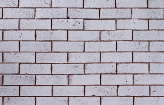 The brick wall is suitable as a backdrop. photo