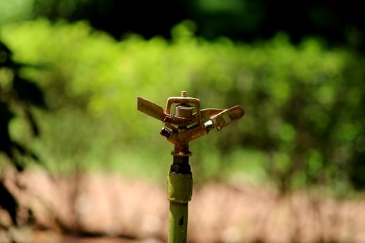 Water sprinkler in the garden. photo