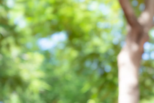 natural green bokeh abstract background,blurred textured photo