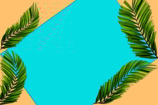 Green palm leaves pattern for nature concept,tropical leaf on orange and teal paper background photo