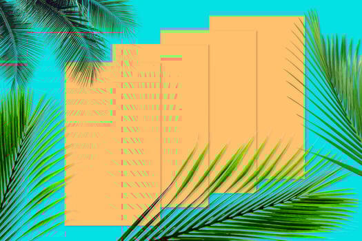 Green palm leaves pattern for nature concept,tropical leaf on orange and teal paper background photo