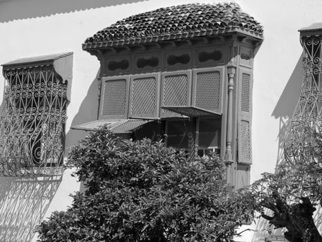 the city of tunis photo