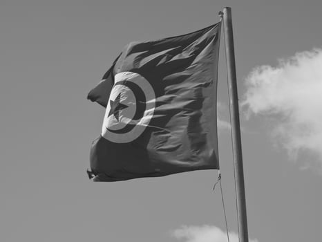 the city of tunis photo