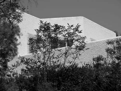 tunis in tunisia photo
