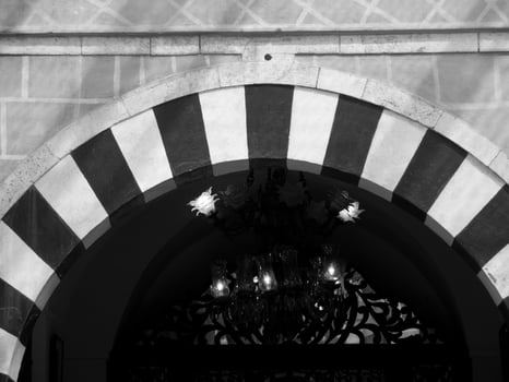 the city of tunis photo