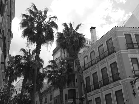 Malaga city in spain photo