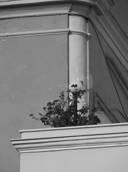Bari in italy photo