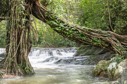 Jedkod waterfall at Khao Yai National park,Thailand photo