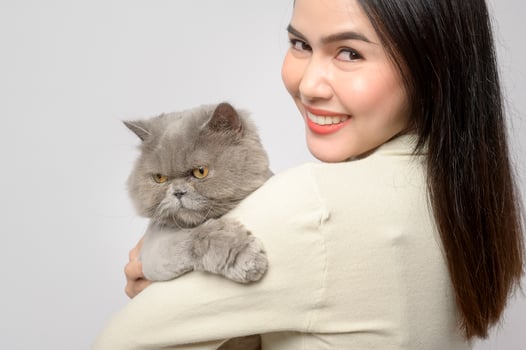 A young woman is holding lovely cat , playing with cat in studio on white background photo