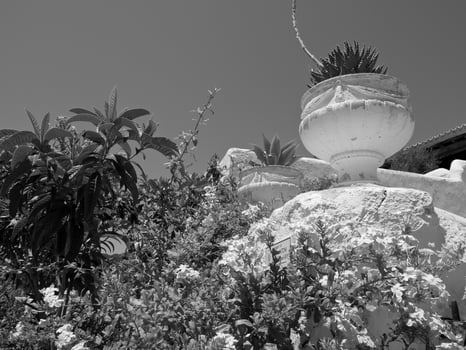 ibiza island in spain photo