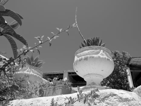 the island of Ibiza photo