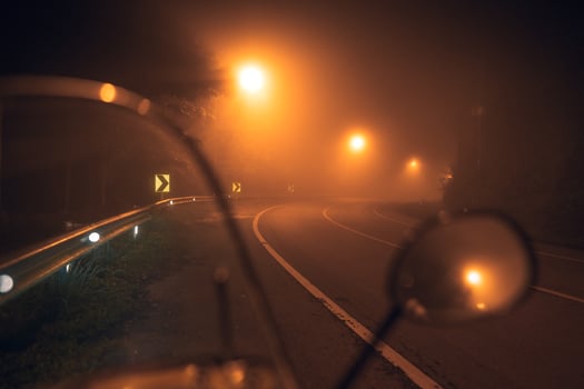 fog at night road and orange trees photo