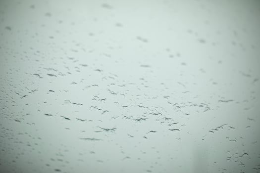 Lots of birds in sky. Drops on glass. Transparent material. photo