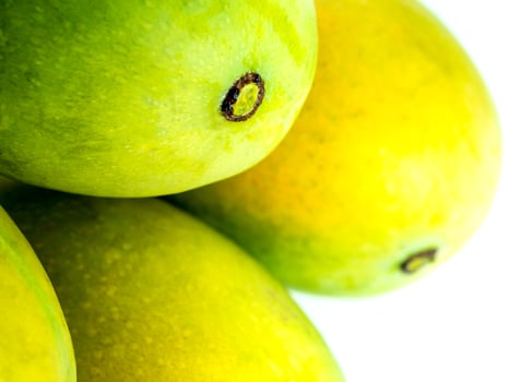 Freshness mango on white background, Isolated mango photo