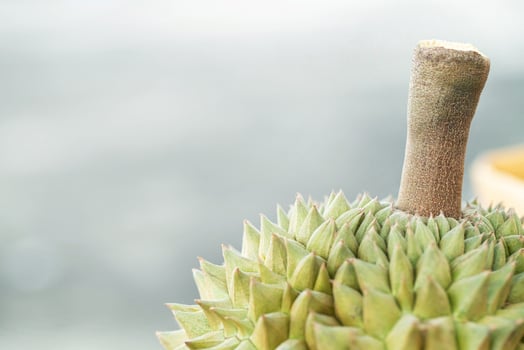 Durian ready to eat photo