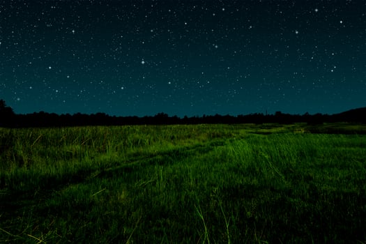 Starry night in grassland. photo