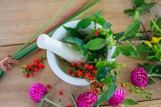 Fresh herbs in the mortar, alternative medicine photo