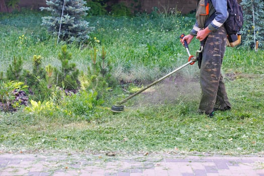 A utility worker mows a green lawn with a petrol trimmer near a pedestrian sidewalk on a summer day. photo