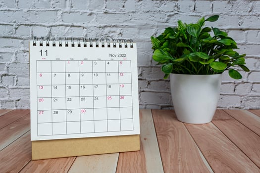 November 2022 white calendar with potted plant on wooden desk. photo