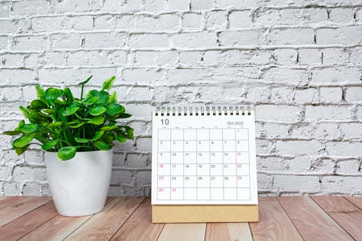 October 2022 white calendar with potted plant on wooden desk photo