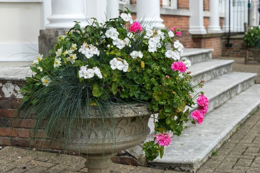 East Grinstead, West Sussex, UK, 2014. East Grinstead in Bloom photo