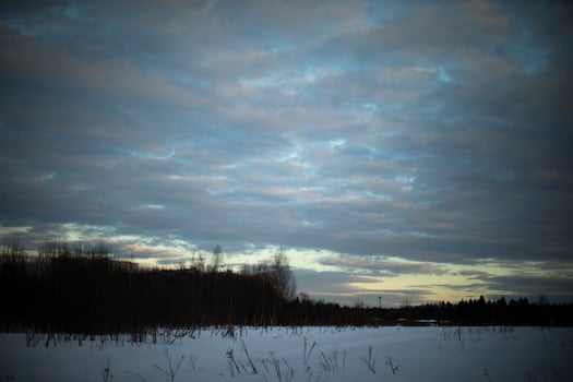 Evening landscape in winter. Depressing view of nature of Russia. photo