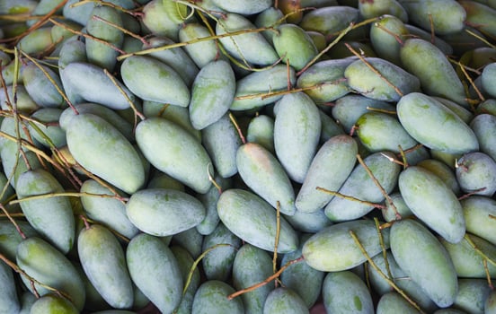Green mango for sale in the fruit market in Thailand - Fresh raw mango texture background harvest from tree agriculture asian photo