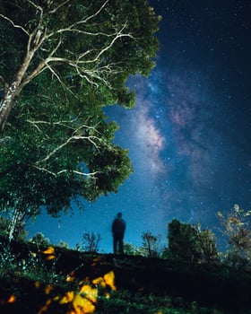 Night scene milky way background,Trees Against Sky At Night photo