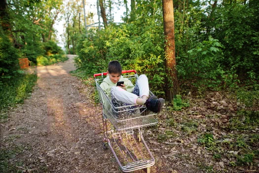 Boy sitting in trolley with mobile phone at forest. photo