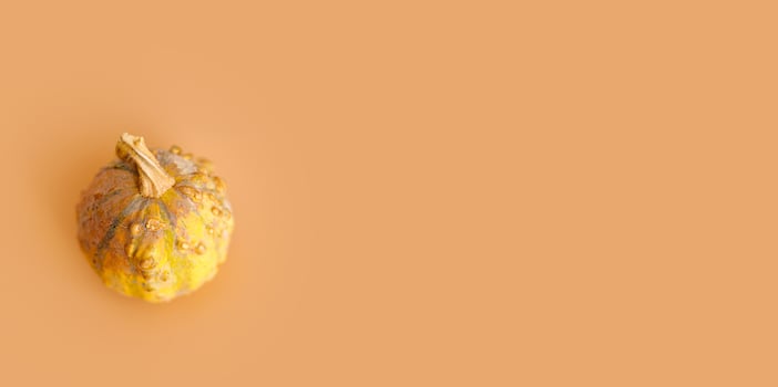 Horizontal pastel background with different sorts of pumpkins. photo