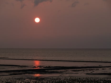 dornum at the north sea in germany photo