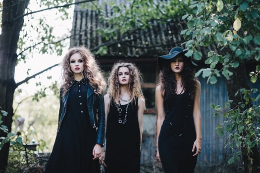 Three vintage witch go to the Sabbat photo