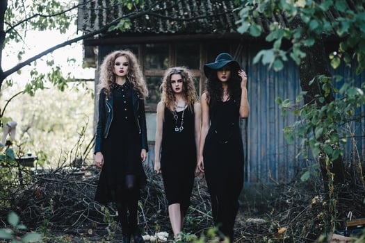 Three vintage witch go to the Sabbat photo