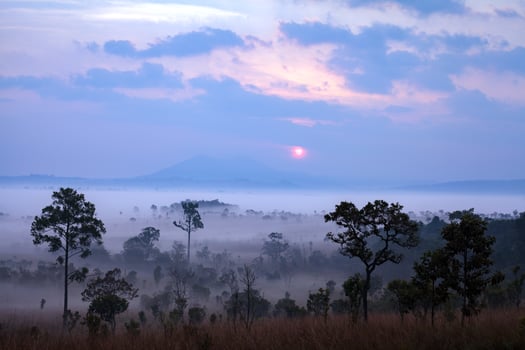 Landscape fog in morning sunrise at Thung Salang Luang National Park Phetchabun,Tung slang luang is Grassland savannah in Thailand photo