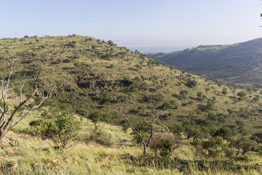 Landscape with hills and trees photo