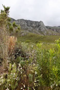 Mountain Landscape on a cloudy day photo