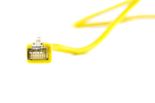 Ethernet cable closeup photo