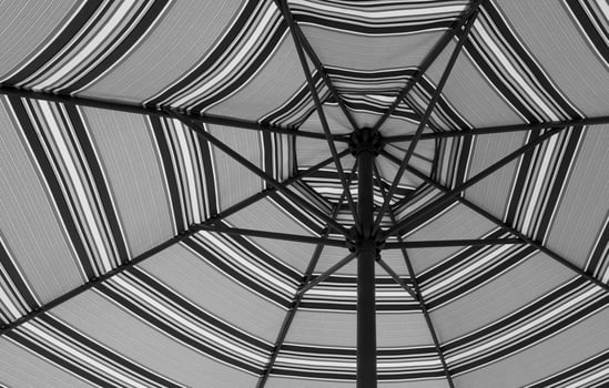 black umbrella arms photo