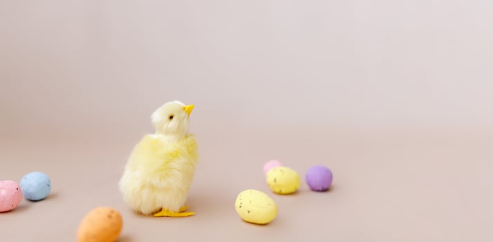 Easter background with easter chicks and eggs. Easter decor photo
