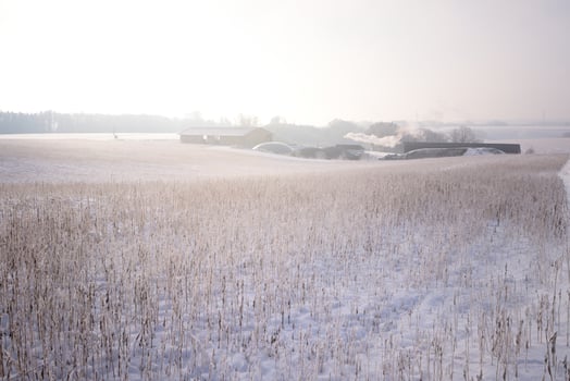 In Bavaria's winter landscape, a biogas plant stands behind an abandoned field with dry grass between snow photo