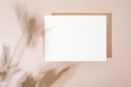 Template paper with green plant shadow on pastel beige background , great design for any purposes. Abstract background. Banner template. Advertising photo